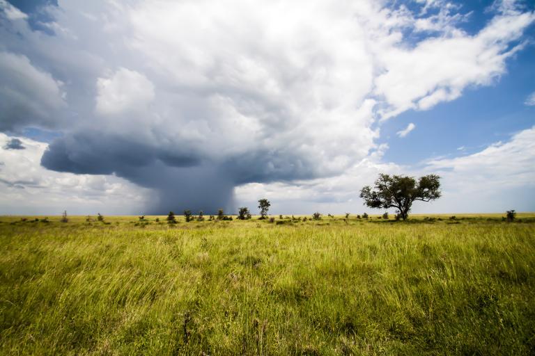 Serengeti, Tanzania