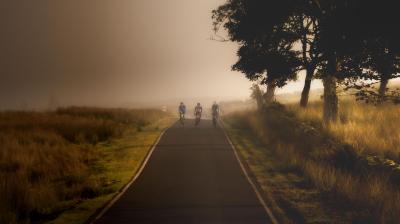 a group of people riding bikes down a road.
