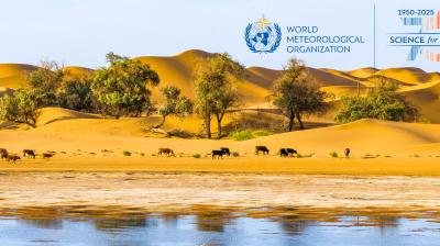 Cows graze near water with sand dunes and trees in the background; World Meteorological Organization and "75 Science for Action" logos are displayed.