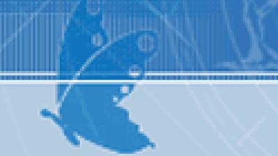 A blue-toned, pixelated graphic of a butterfly with abstract lines and shapes in the background.