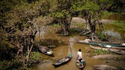 A person navigates a small wooden boat through a narrow, tree-lined waterway with other boats nearby.