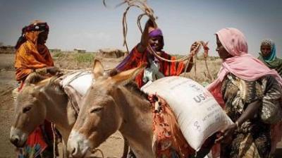 Four women load donkeys with sacks of supplies marked 'USAID' in a dry, rural landscape under daylight.