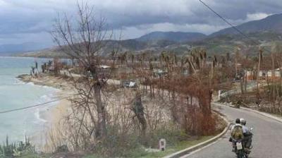 A person rides a motorcycle along a coastal road lined with bare, damaged trees under a cloudy sky.
