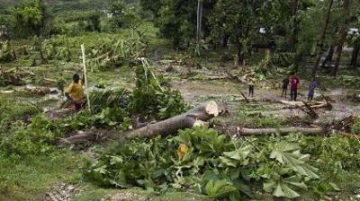 People standing amidst a landscape covered with fallen trees and debris, likely after a storm, with greenery in the background.
