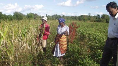 Three people stand in a field with tall grass and vegetation under a partly cloudy sky. One person wears a white hat and red jacket, another a blue hat and patterned skirt, and the third a white shirt.