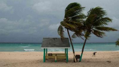 A small shelter and two palm trees stand on a windy beach with rough waves; a person bends over near the shore under a cloudy sky.