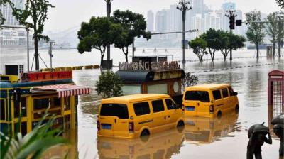 Two yellow vans are partially submerged in floodwater on a city street, with buildings and trees in the background.