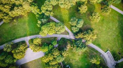 Aerial view of a park showing winding pathways and green trees surrounded by grass.