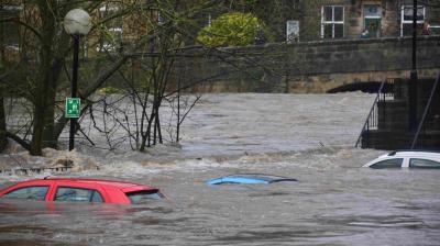 Flooded street with submerged cars, trees, and a partially visible bridge in the background.