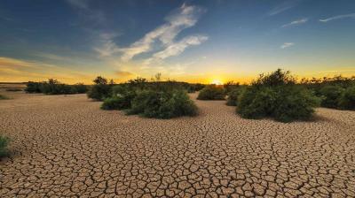 Cracked, dry earth with scattered green shrubs under a clear sky at sunset.