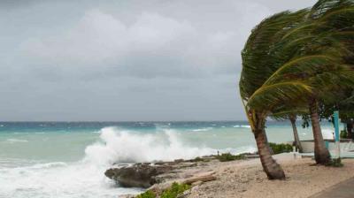 Las olas rompen contra una costa rocosa bajo un cielo nublado. Las palmeras se mecen con el viento, presagiando tormenta.
