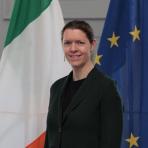 A person stands between the Irish and European Union flags, wearing a dark suit.