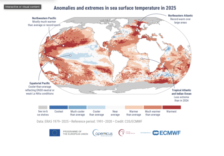 Anomalies and extremes in sea surface temperature in 2025